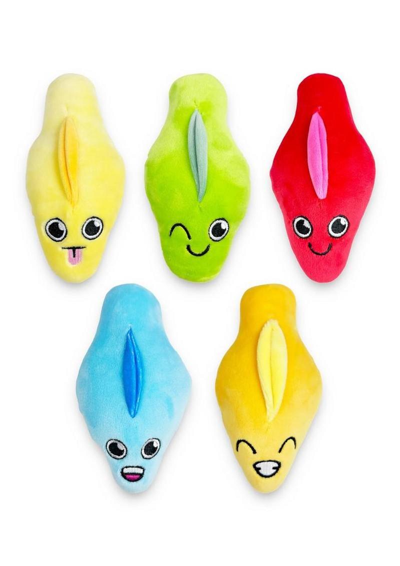 Bag Of Cunts Plushy Pillows - Assorted Colors - 5 Pack