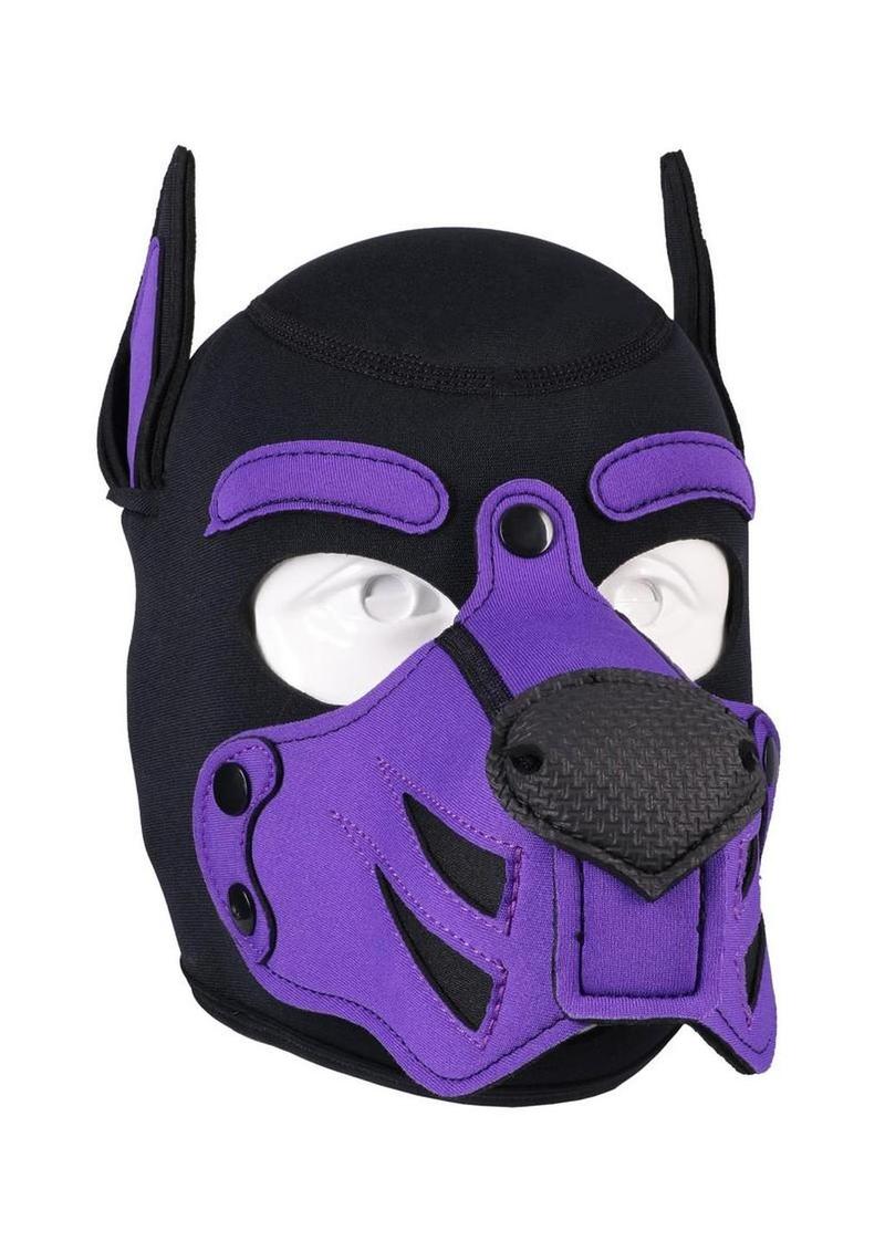Merci Neoprene Puppy Hood - Black/Purple